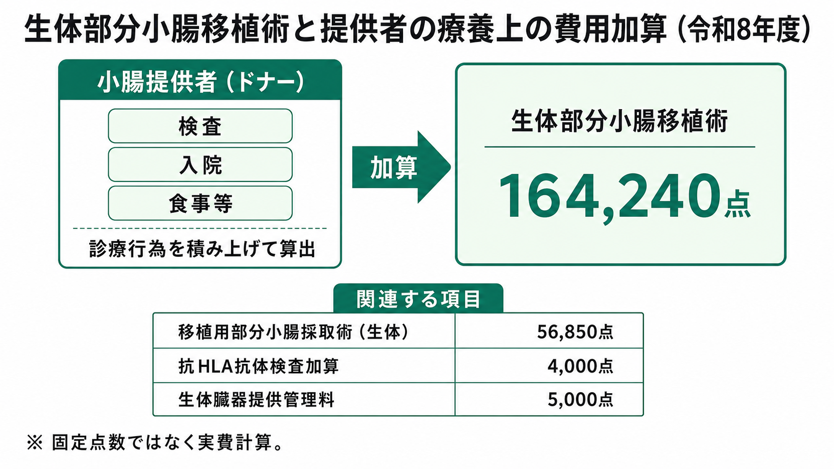 生体部分小腸移植術と提供者の療養上の費用加算の関係(令和8年度)