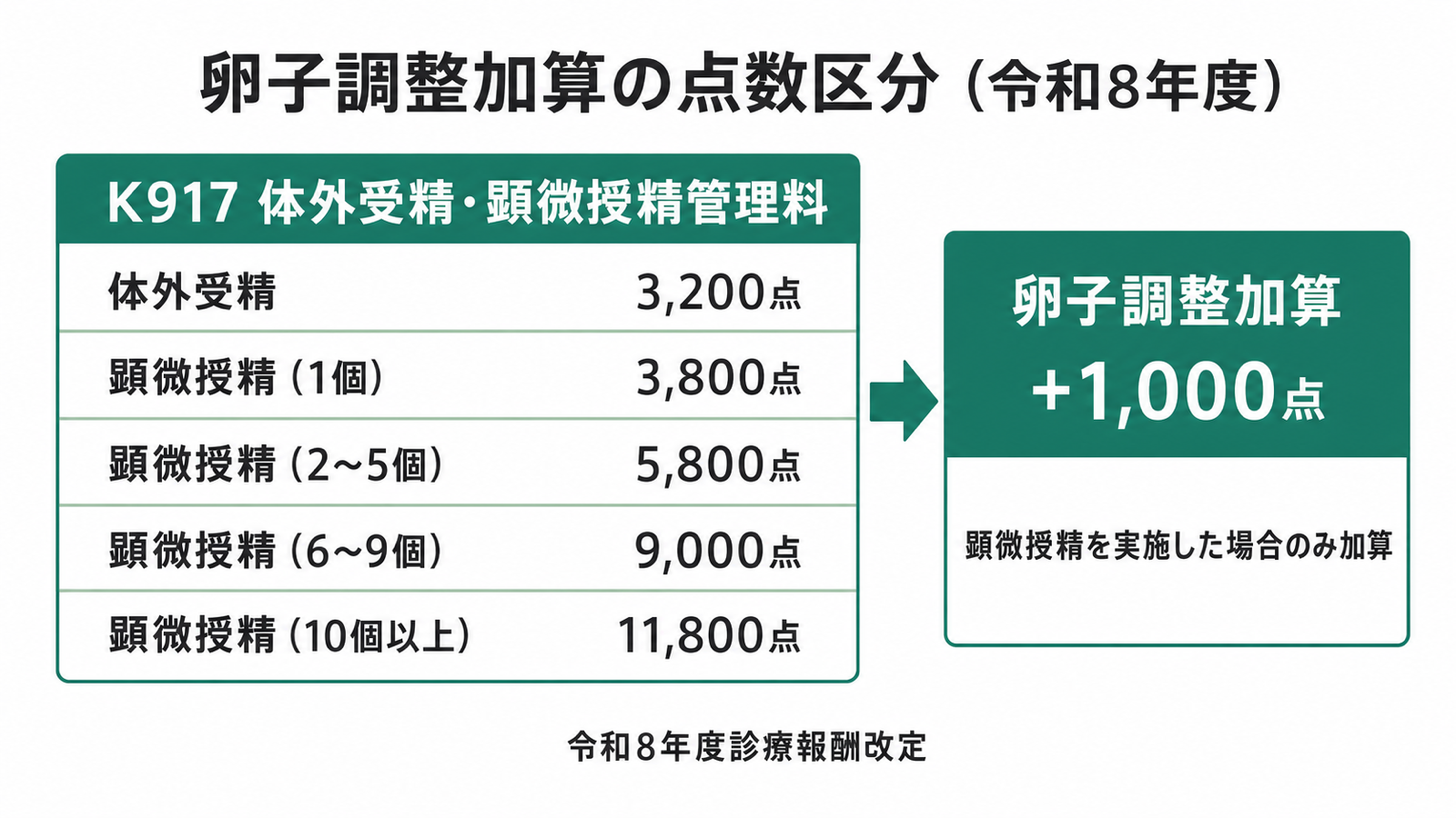 卵子調整加算の点数区分（令和8年度）